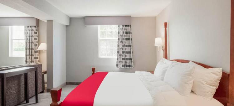 康尼奥特戴斯酒店(Days Inn by Wyndham Conneaut)图片