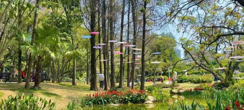 维也纳酒店(深圳东门老街店)图片