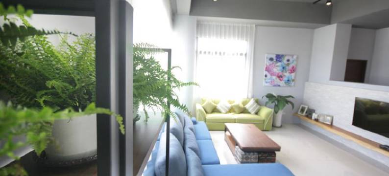 双黄蛋生活空间图片