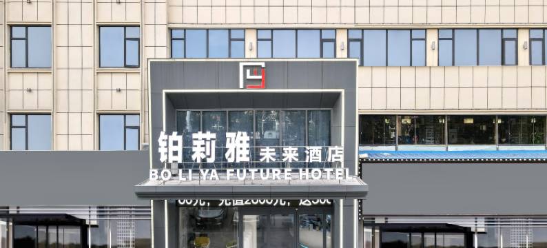 京山铂莉雅未来酒店图片
