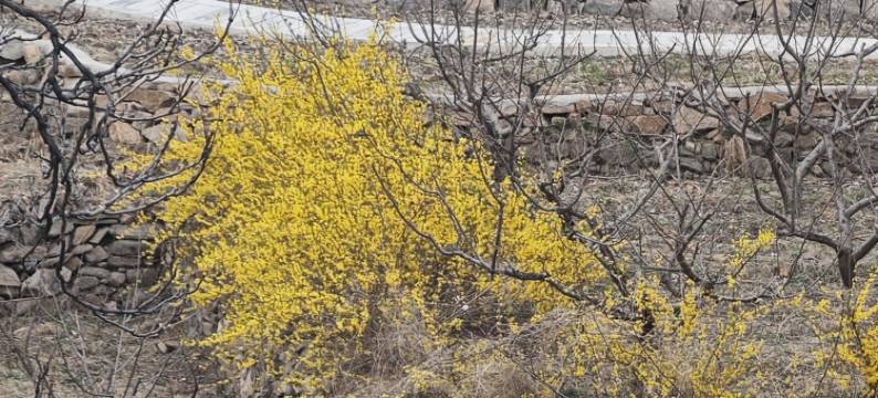 福山01民宿图片