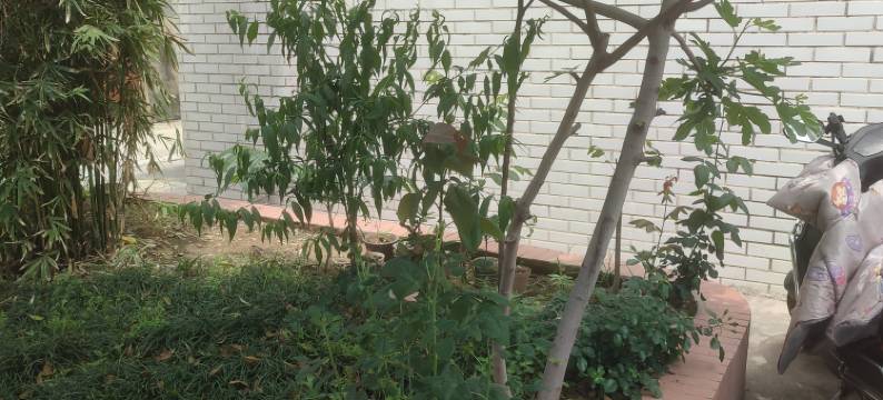 无锡尚佳民宿图片