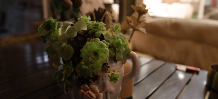 见山民宿(望仙谷景区店)图片