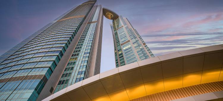 阿布扎比瑞吉酒店(The St. Regis Abu Dhabi)图片