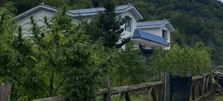 留坝山间源民宿图片