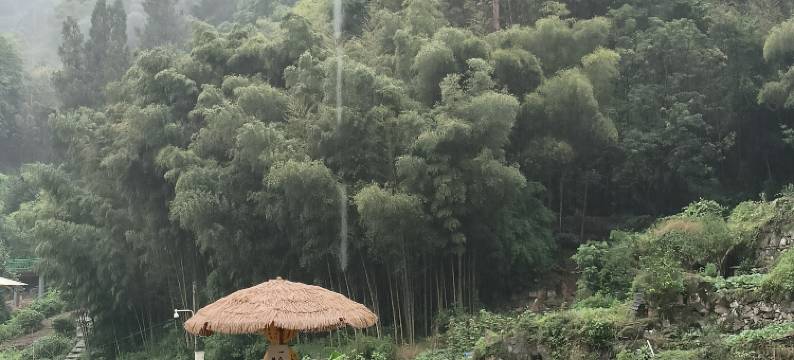 良誉民宿(桐庐石舍村店)图片
