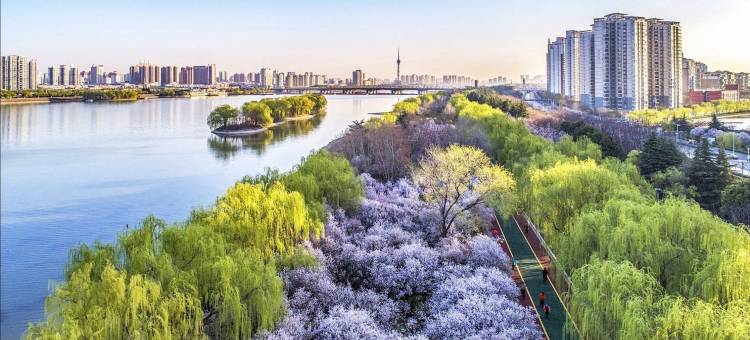 洛阳叁拾玖号民宿(洛邑古城十字街丽景门店)图片