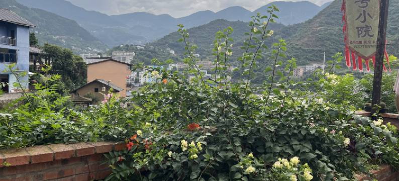 兴山66号小院图片