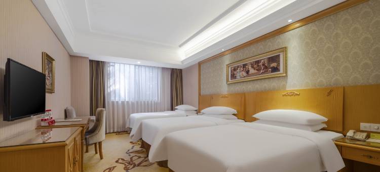 维也纳酒店(深圳客家小镇甘坑地铁站店)图片