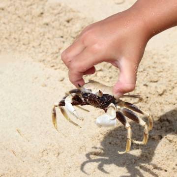 三亚亚龙湾星华套房假日酒店图片