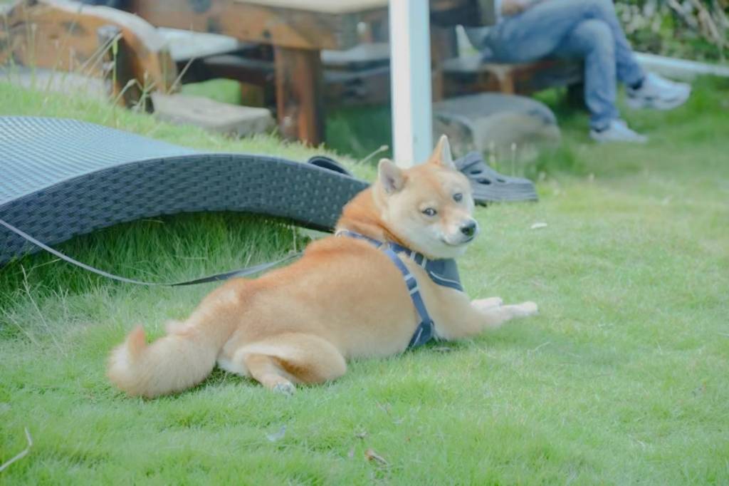 花筑奢·绵阳一方花屿民宿图片