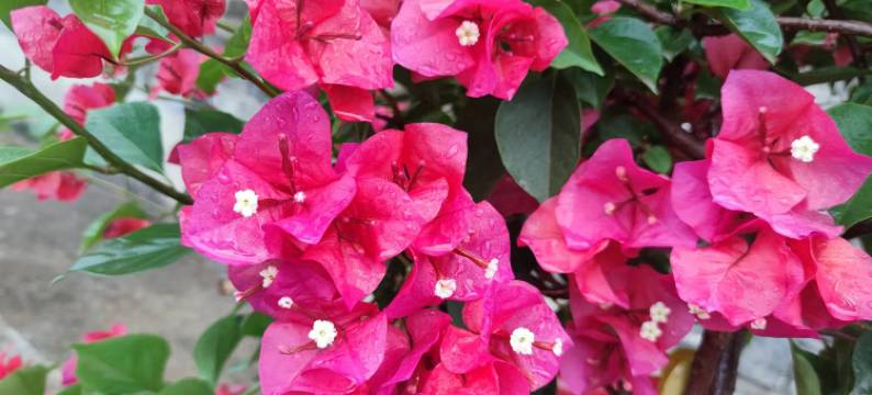 黄石拾忆美宿影院酒店(黄石北站店)图片