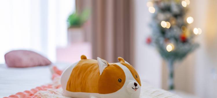 星辉未来·HOTEL公寓(温州瓯海牛山南路店)图片