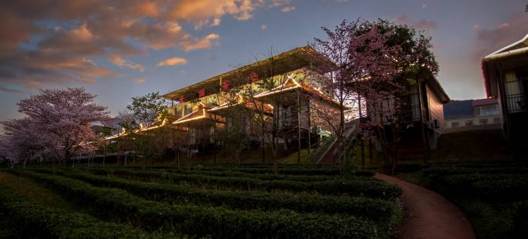 茶海云端民宿(沧源天润茶园店)图片