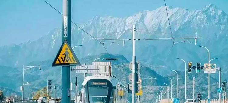 原驿·南桥温泉酒店(都江堰景区南桥店)图片