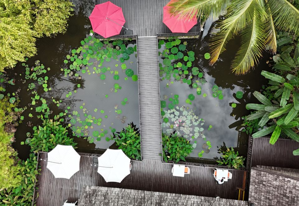 Parasol BlancHotel Overview