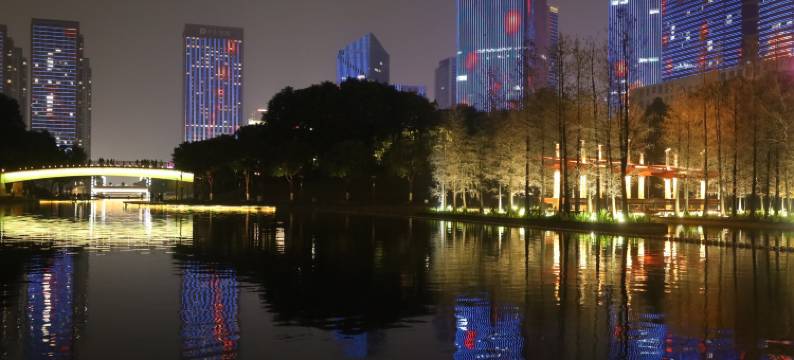 维也纳酒店(佛山祖庙叠滘地铁站店)图片