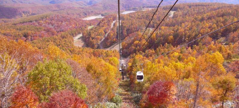 恩度假村 格兰德科酒店(EN Resort Grandeco Hotel)图片