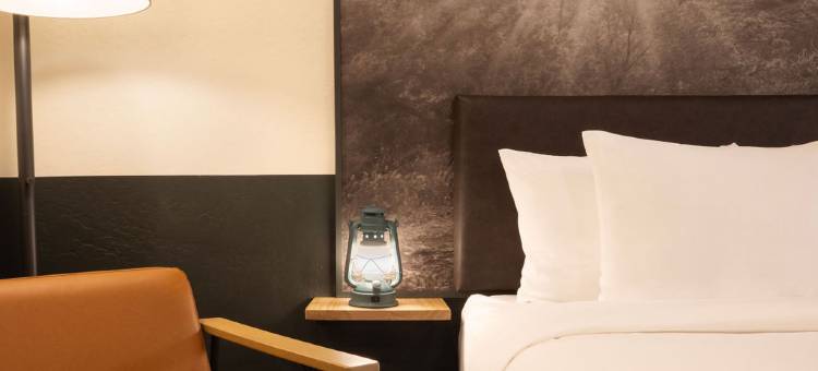 塞多纳利尔套房酒店(Mountain Modern Sedona, Tapestry Collection by Hilton)图片