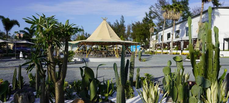 汀海院落海景民宿(万尾金滩店)图片