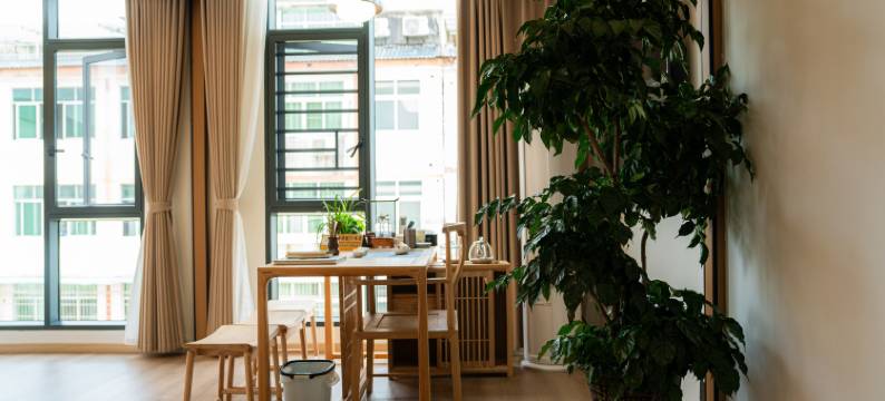 龙虎山道溪别院民宿图片