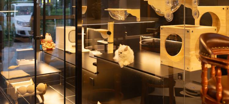 久居可漫咖酒店(乌鲁木齐高铁站店)图片