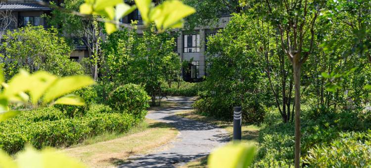 点军桃花岭饭店(宜昌一中店)图片