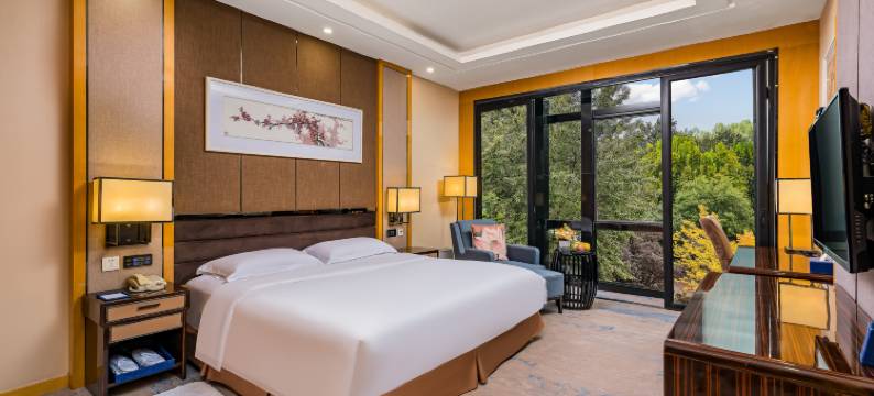 北京云瑧金陵莲花酒店(北京西站店)图片