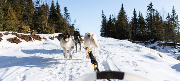 Club Med地中海俱乐部·魁北克夏洛瓦度假村(Club Med - Quebec Charlevoix)图片