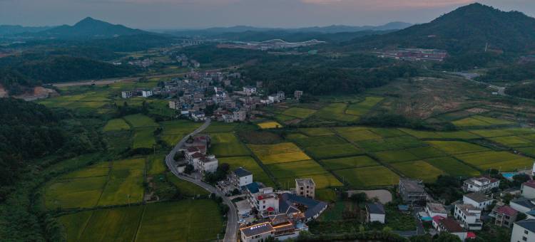 莲台小筑民宿(庐山风景区东林大佛店)图片