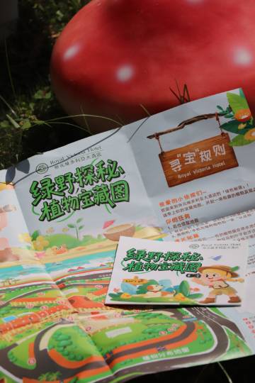 厦门帝元维多利亚大酒店(环岛路黄厝海滩店)图片