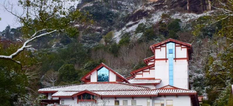 武夷山庄(武夷山景区武夷宫店)图片