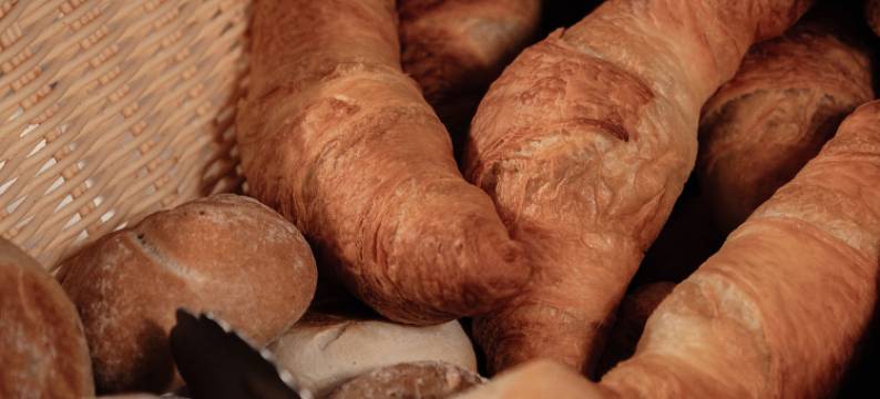 瑞士小屋酒店(Hotel Chalet Swiss)图片