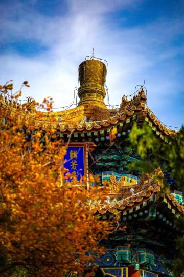 桔子酒店(北京雍和宫和平里北街地铁站店)图片