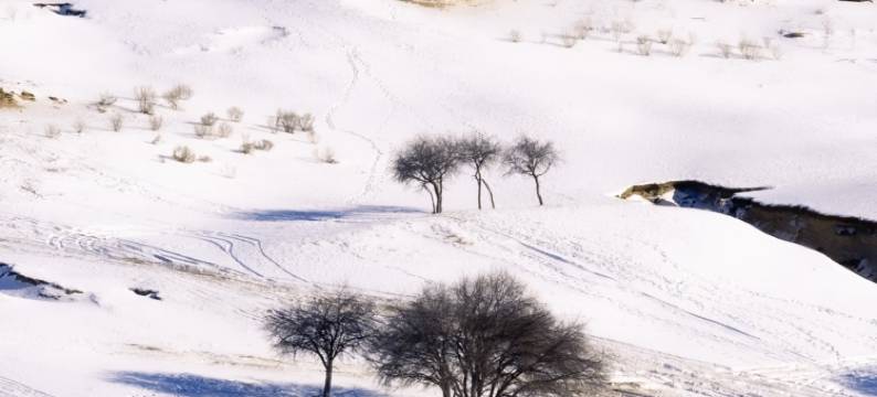 花筑·澜奢庭院美宿(乌兰布统草原景区店)图片