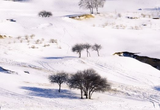 Floral Hotel·Lanshe Courtyard Hotel(Ulan Butong Scenic Area Store) Hotel Overview