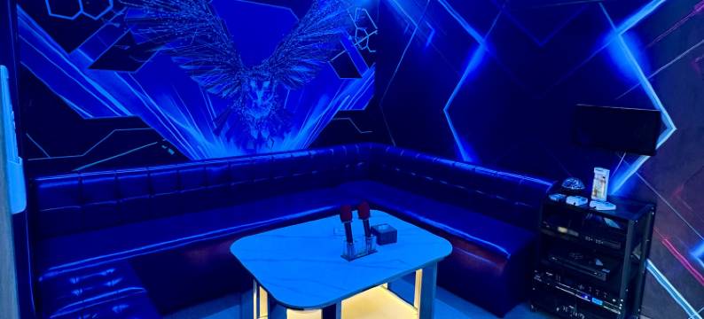 庐艺酒店(华人酒店)(Luyi Hotel)图片