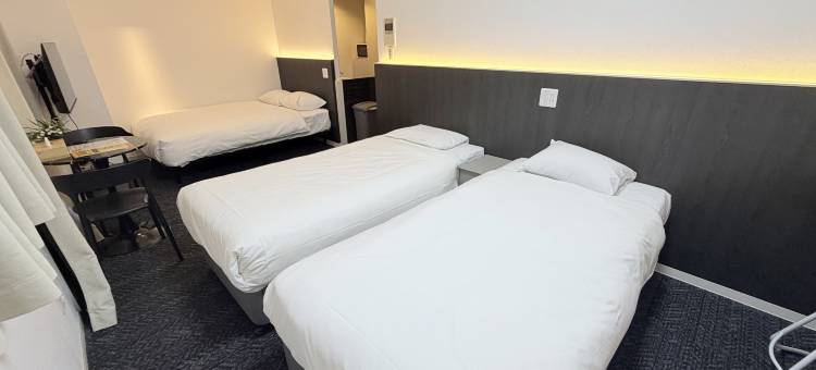 岚酒店 日本桥东店 No.8111(Hotel Arashi Nipponbashi East No.8111)图片