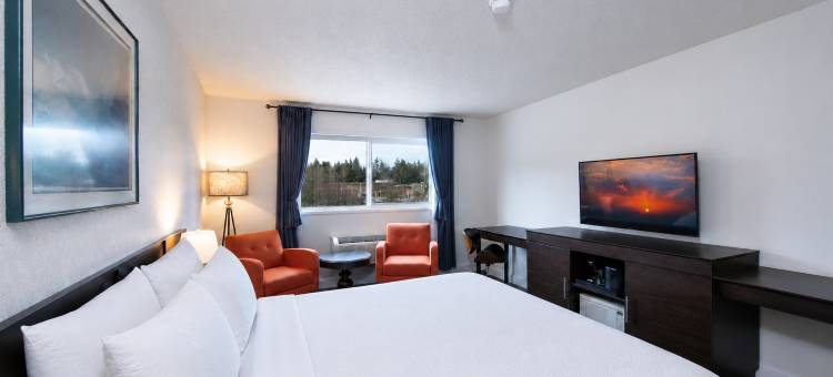 国际酒店(Hotel International)图片