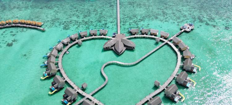 仙本那丘比特水屋(CUPID RESORT)图片