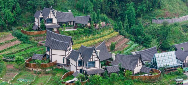 雅安十里山房民宿图片