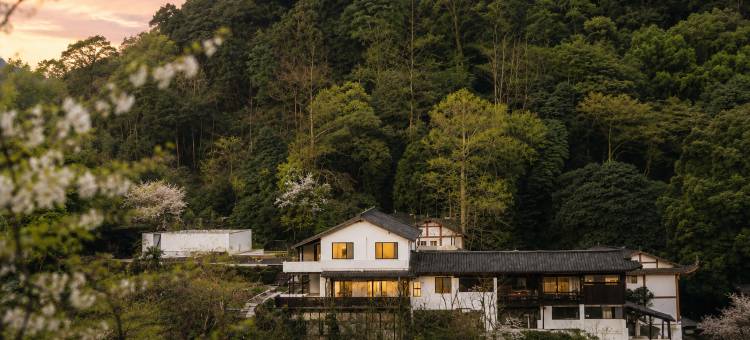 晓山青Dawnhill·古树隐世奢境图片