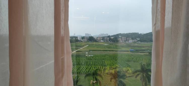 柏曼酒店(茂名电白树仔镇店)图片
