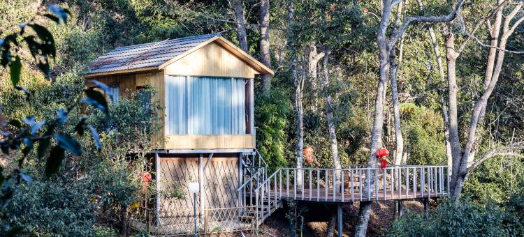 雨林民宿(西双版纳勐海店)图片