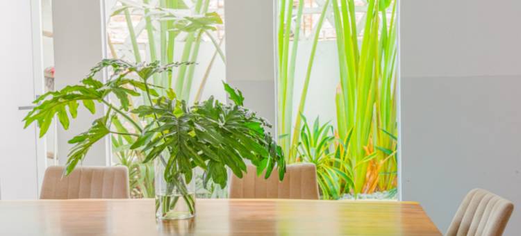 留时边树民宿(顺德陈村店)图片