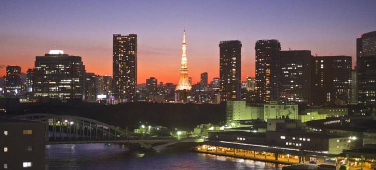 东京东西线西葛西东横旅馆(Toyoko Inn Tokyo Tozai-Sen Nishi-Kasai)图片