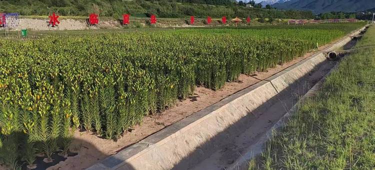 临夏腾雅宾馆图片
