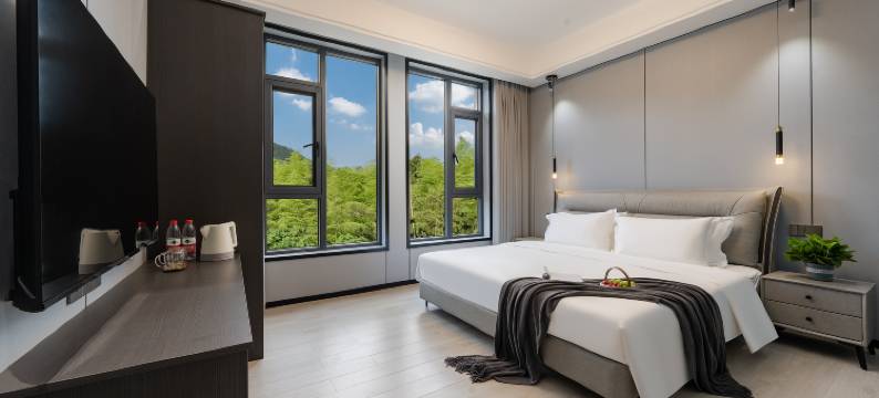 望茶谷·安吉茶山view轻奢度假美墅(白茶观景平台店)图片