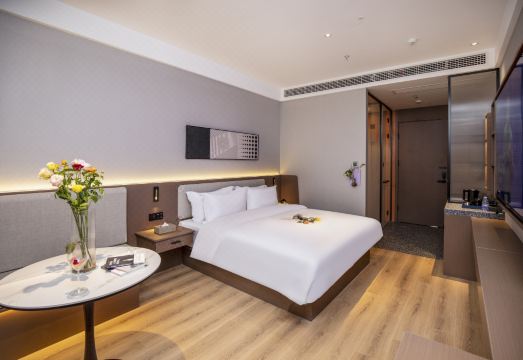 Qingmu Platinum Hotel (Nanjing Xinjiekou) Hotel Overview