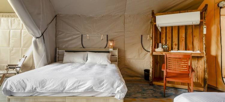 山上种树牛樟森林休闲农场图片